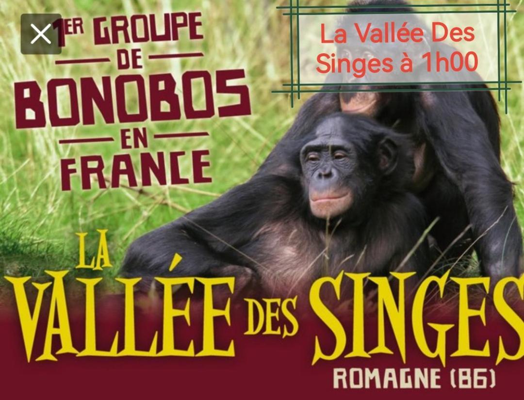 Gite De Charme Dans Un Cadre Calme Et Reposant Châtellerault المظهر الخارجي الصورة